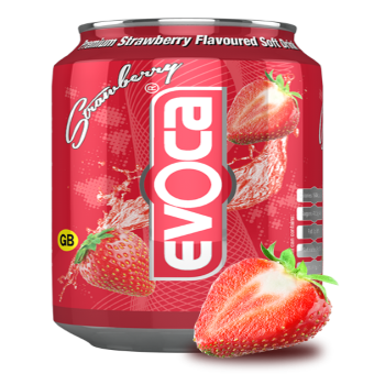 Evoca Strawberry-24x330ml01